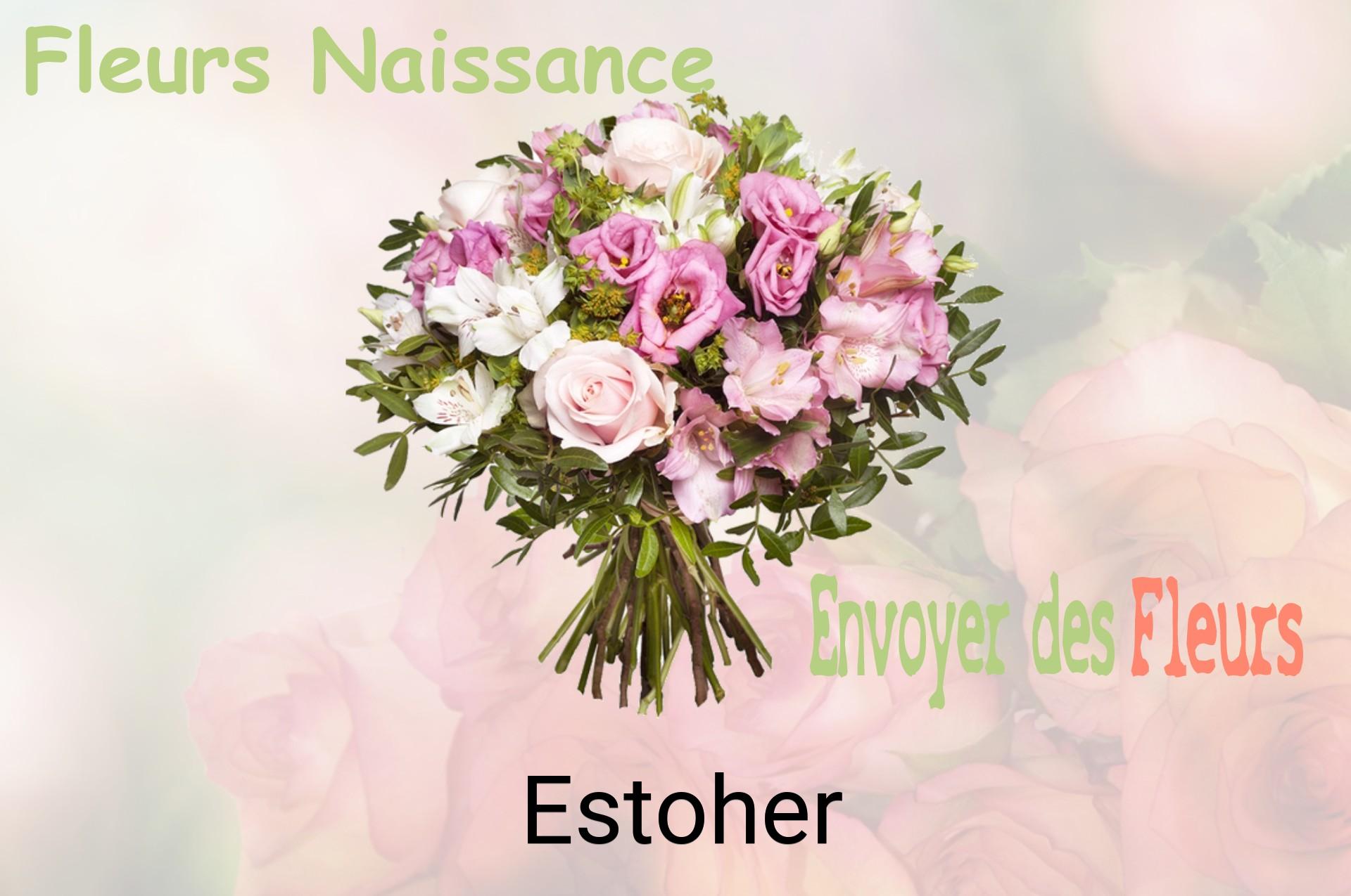 Bouquet de fleurs de naissance livré à Estoher
